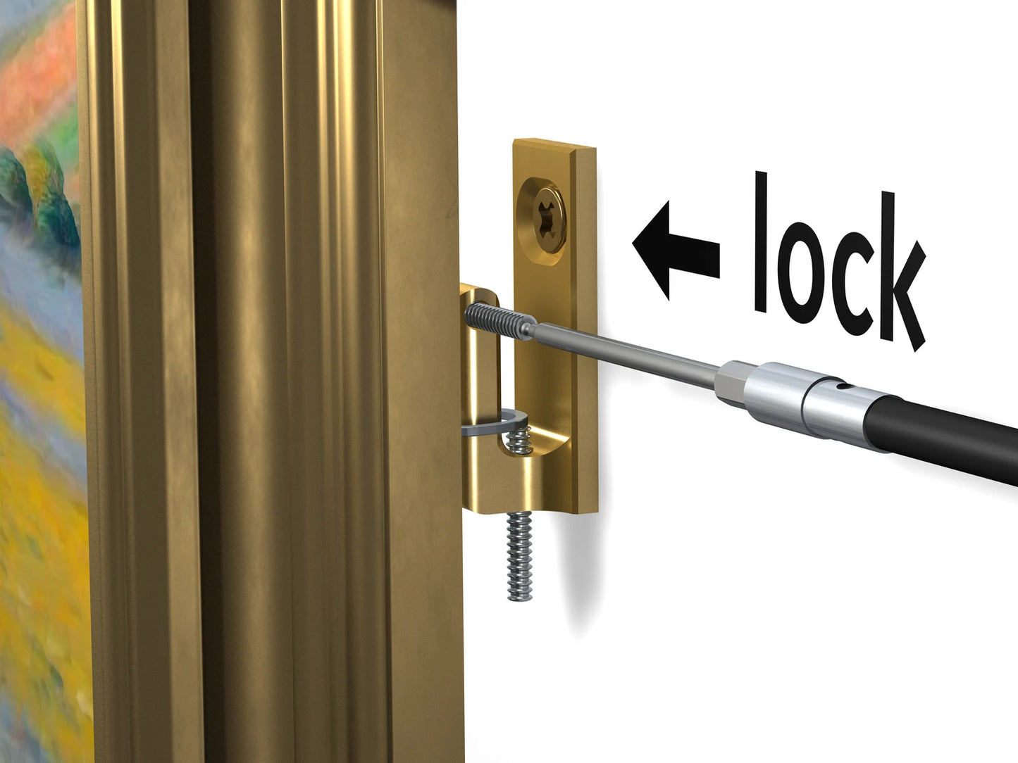 Hook4Wall - 50 kg